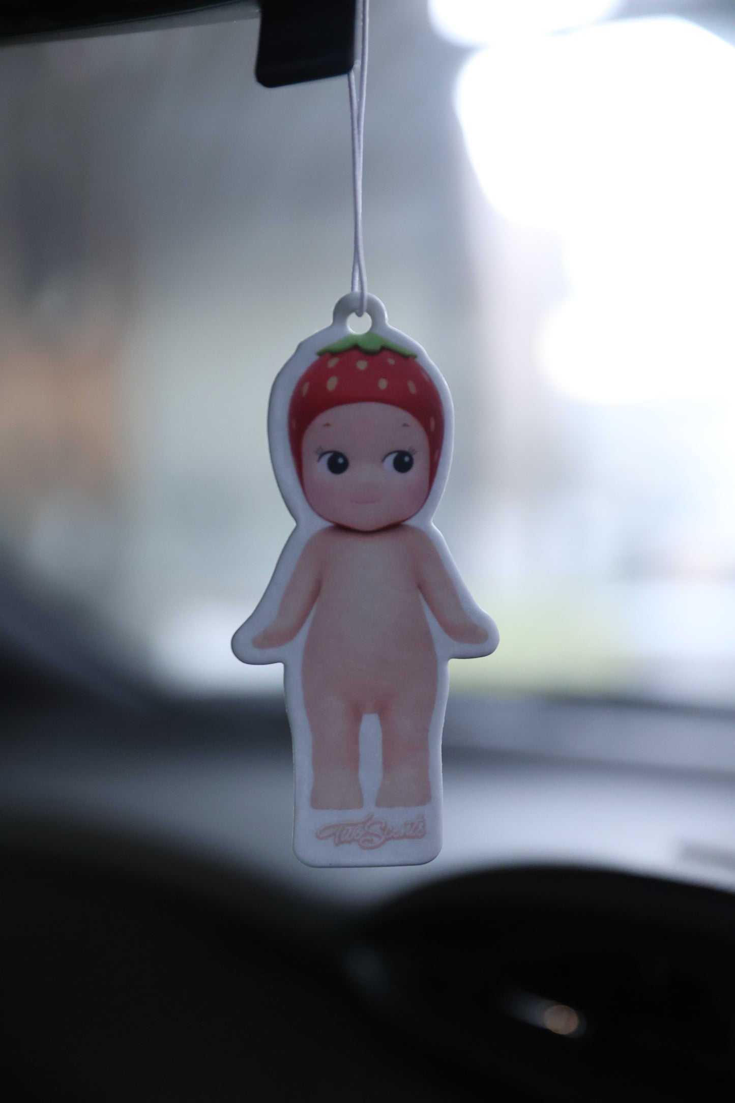 Cartoon SA Air Freshener